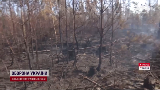 Вогонь наближається до населених пунктів: чому на Рівненщині та Волині спалахнули масштабні пожежі