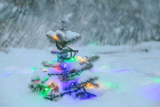 Коли будемо святкувати Різдво 2024 року: історія та традиції одного з найбільших церковних свят