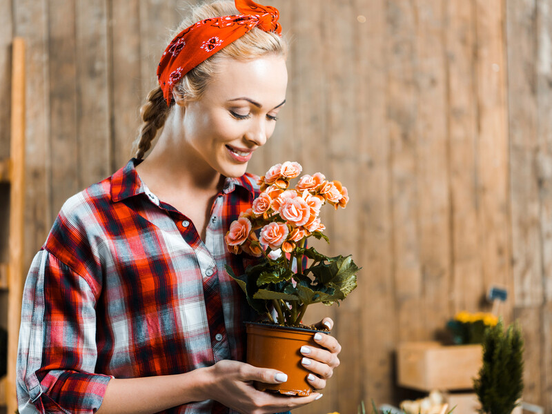 "Кімнатні рослини цвістимуть без зупинки". Додайте дві таблетки цього аптечного препарату "Кімнатні рослини цвістимуть без зупинки". Додайте дві таблетки цього аптечного препарату