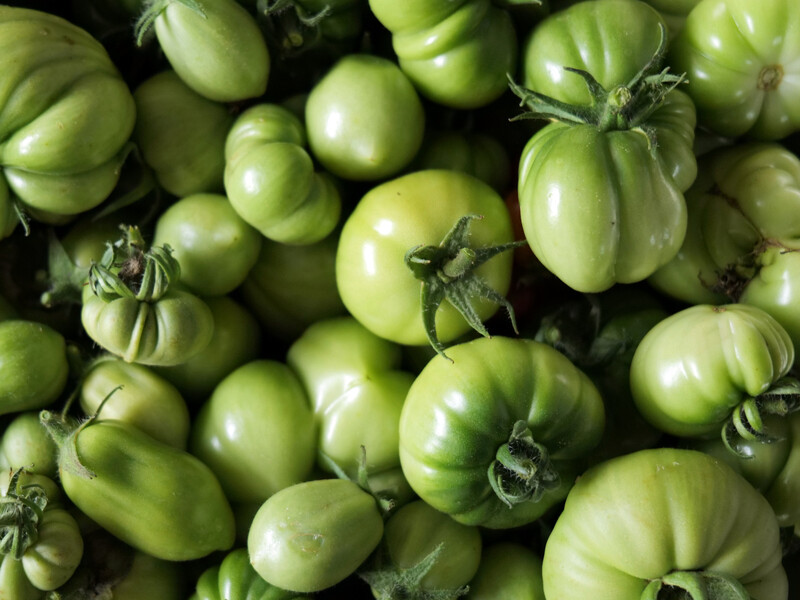 Покладіть це в ящик до зелених томатів – і вони швидко дозріють Покладіть це в ящик до зелених томатів – і вони швидко дозріють