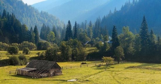 Вас це дуже здивує: що означають фразеологізми "цілуйте тата в коліщата"та "перший бублик глевкий"