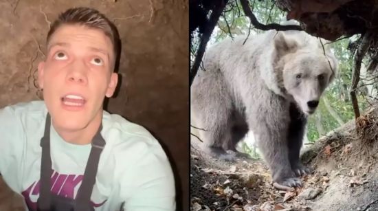 Чоловік зіткнувся з ведмедем, залізши до його лігва: чим це закінчилося (відео)