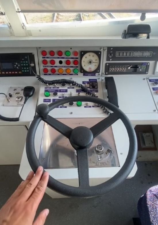 Машиніст "Укрзалізниці" здивував, навіщо кермо в поїзді – відео