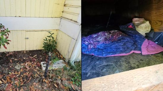 Жінка випадково виявила, що під її будинком живе незнайомка: хто вона (фото)