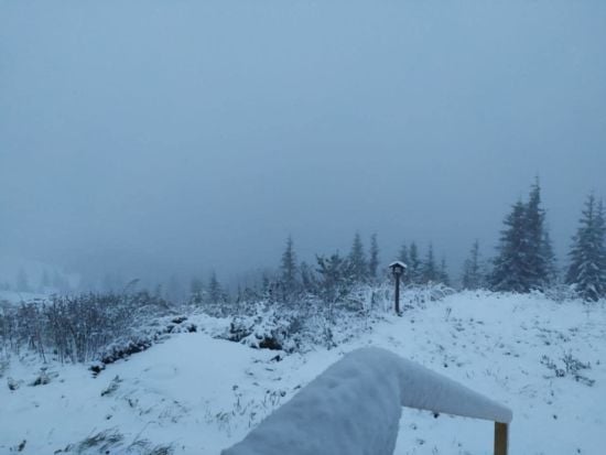 В Україні випав перший сніг: де саме зустрілися осінь і зима і яка погодна аномалія чекає на країну