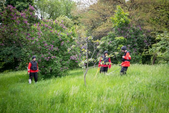 Ботсад Києва на межі катастрофи: у Guardian вказали на наслідки ворожих атак по енергосистемі України