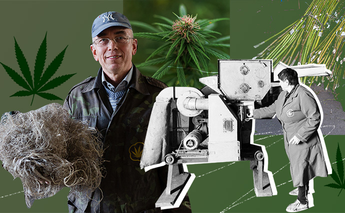 Від пороху до одягу. Як відроджується промислове коноплярство Від пороху до одягу. Як відроджується промислове коноплярство