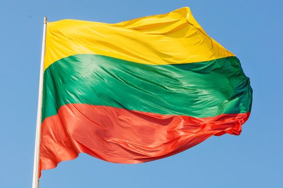 Стали відомі перші результати виборів до парламенту Литви: правляча партія лише третя