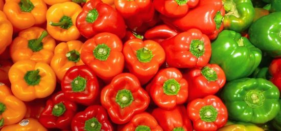 Болгарський перець: чим корисний зелений, червоний, жовтий овоч, а кому краще його не їсти