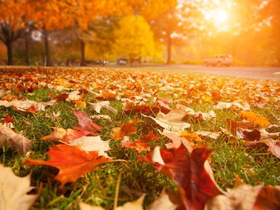 Синоптикиня повідомила, коли в Україну повернеться тепла погода