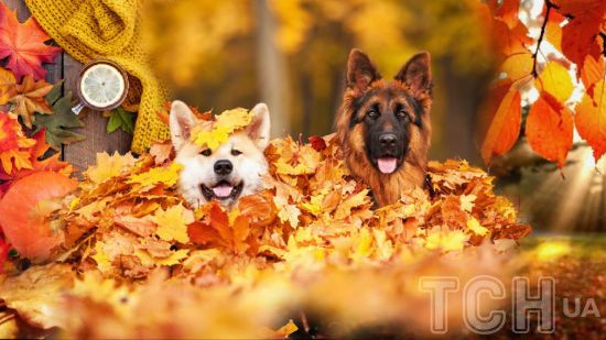 До України суне аномальне тепло – 26 градусів: кому й коли пощастить (відео)