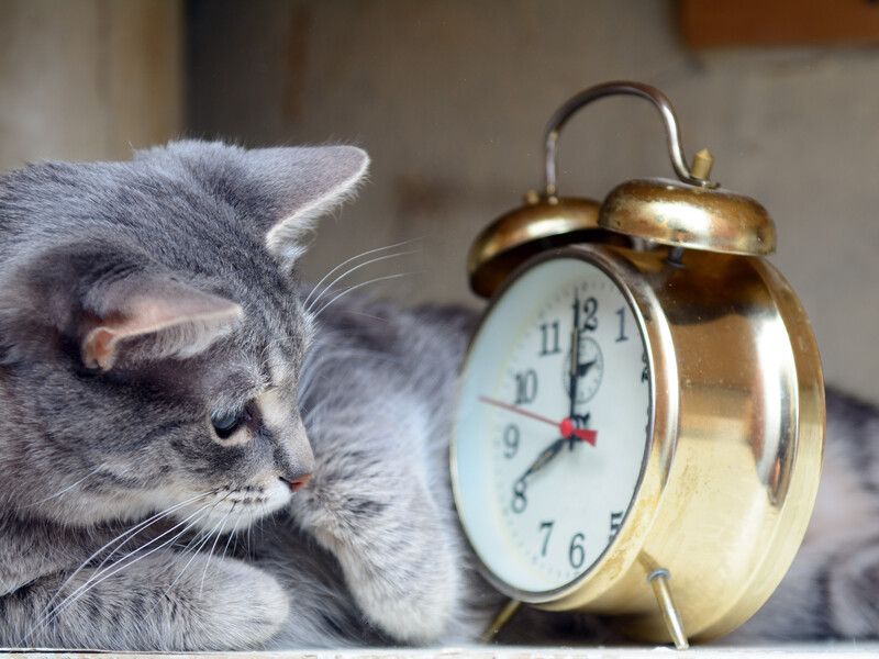 Цієї ночі Україна переходить на зимовий час. Куди й о котрій переводять стрілки годинників