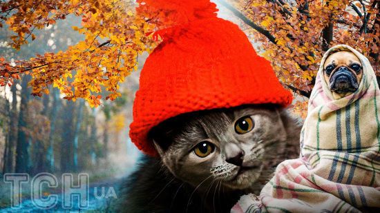 Коли у Києві розпочинається опалювальний сезон: Кличко дав чітку відповідь Коли у Києві розпочинається опалювальний сезон: Кличко дав чітку відповідь