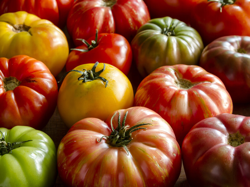 Жовтень – саме час. Як зібрати насіння з помідорів та інших овочів, щоб отримати здоровий урожай Жовтень – саме час. Як зібрати насіння з помідорів та інших овочів, щоб отримати здоровий урожай