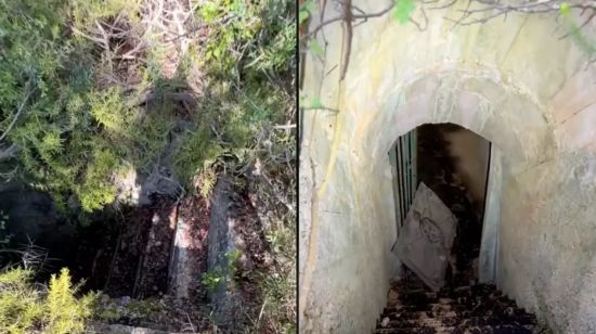 Чоловік знайшов посеред лісу сходи та зробив моторошне відкриття: що було під землею (відео)