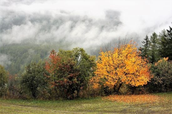 В Україні знову буде тепло: прогноз погоди на тиждень, 7-13 жовтня