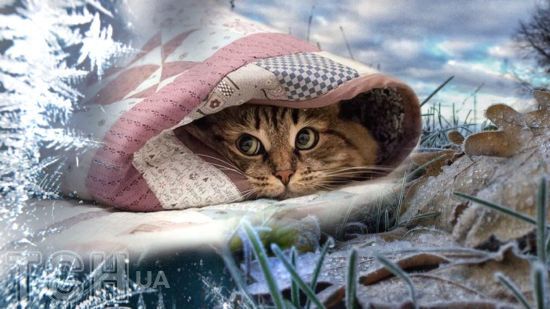 Синоптики повідомили, якою буде погода на вихідних в Україні