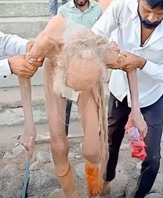 111-річний відлюдник провів століття у печері: який він має вигляд (відео)