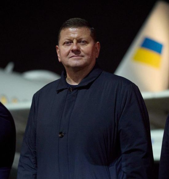 "Задоволений реакцією ворогів": Залужний прокоментував свій резонансний виступ в Chatham House