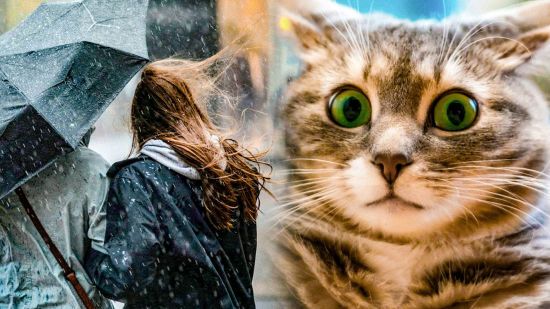 Якою буде погода в листопаді: прогноз здивує