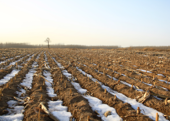 Місячний посівний календар на листопад 2024 року: сприятливі і несприятливі дні, чи можна щось садити Місячний посівний календар на листопад 2024 року: сприятливі і несприятливі дні, чи можна щось садити