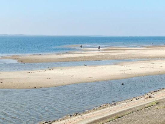 Київське море рекордно обміліло: еколог назвав можливі причини та загрози