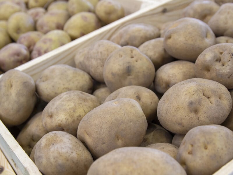 Городники кладуть це в ящик із картоплею – і вона не псується до наступного врожаю Городники кладуть це в ящик із картоплею – і вона не псується до наступного врожаю