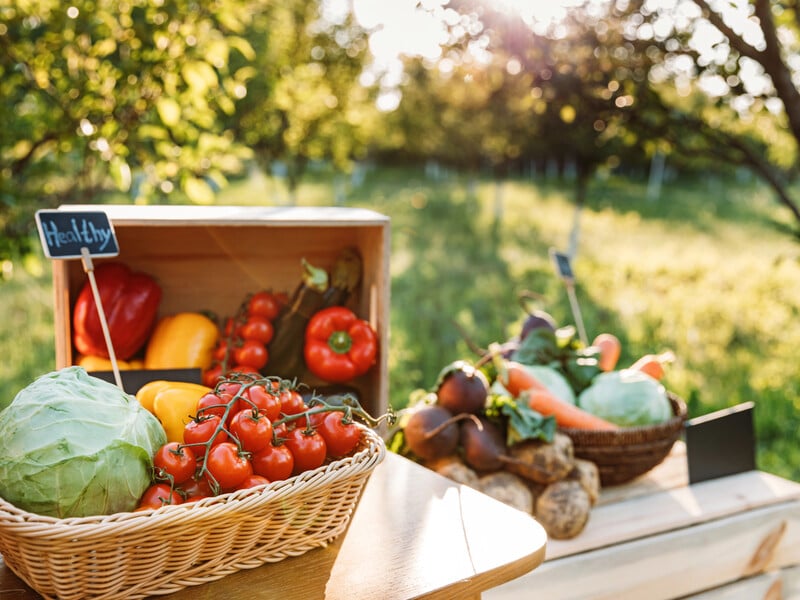 Не садіть на місце капусти петрушку і квасолю. Ось які овочі після неї добре ростимуть