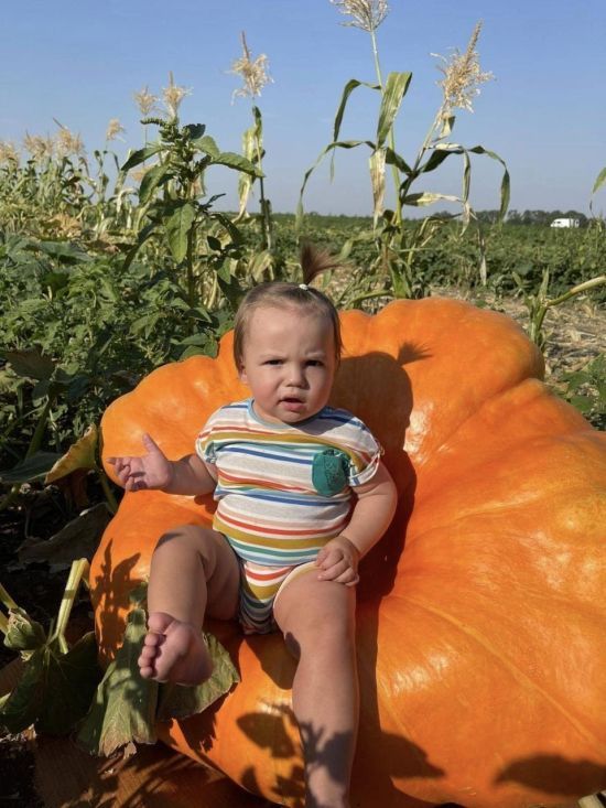 На Дніпропетровщині виростили гарбуз-рекордсмен: його вага вражає (фото)