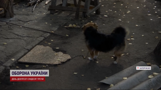 Росіяни знищують ще одне місто в Україні: місцеві розповіли, як виживають