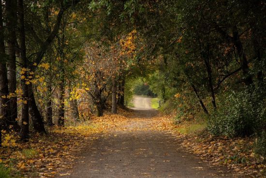 До України прийшов антициклон Xelat: що буде з погодою у п'ятницю, 25 жовтня