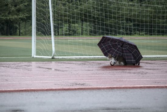 В Україні різко похолодає: синоптикиня назвала дату