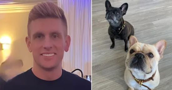 Собака помер у літаку після того, як його пересадили з першого класу в економ: власник подав до суду