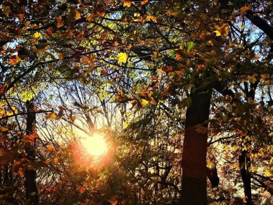 Останні теплі дні: прогноз погоди на вівторок, 29 жовтня