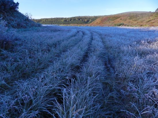 Дощі та заморозки: синоптикиня попередила українців про погіршення погоди