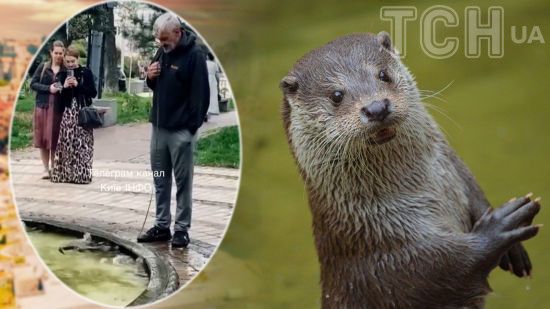 У фонтані Києва купалася видра: що кажуть про це у зоопарку