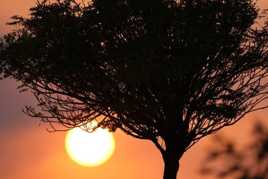 На Сонці стався новий потужний спалах: на Землі зникав зв'язок