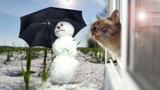 Якою буде зима 2024: синоптики зробили неочікуваний прогноз