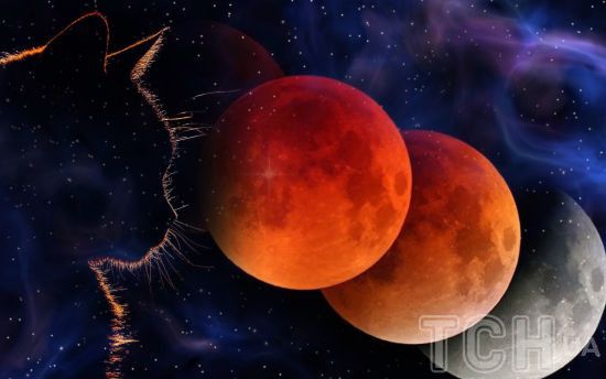 Мисливська повня 17 жовтня 2024 року: три ритуали для зростання фінансів