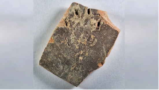 Слід, що пережив століття: кішка з Єрусалима залишила відбиток лапи понад 1000 років тому