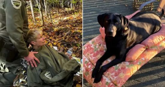 Мандрівниця вижила в лісі завдяки героїчним діям свого собаки: її чоловік помер (фото)