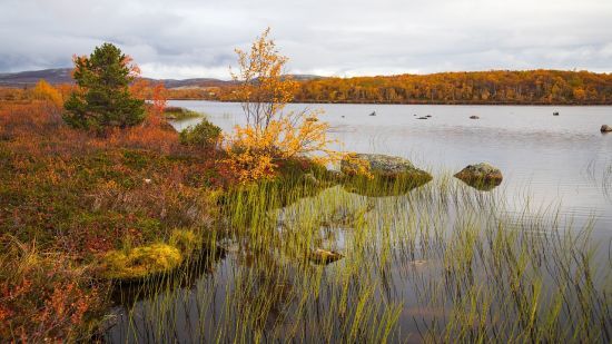 До України повертається тепло, але пощастить не всім: погода вихідними, 5-6 жовтня