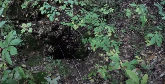 Чоловік нажаханий знахідкою у печері під будинком, яким володів понад 50 років – фото