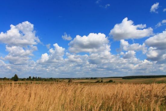 Чому всі говорять фразу "все ясно": як правильно сказати українською