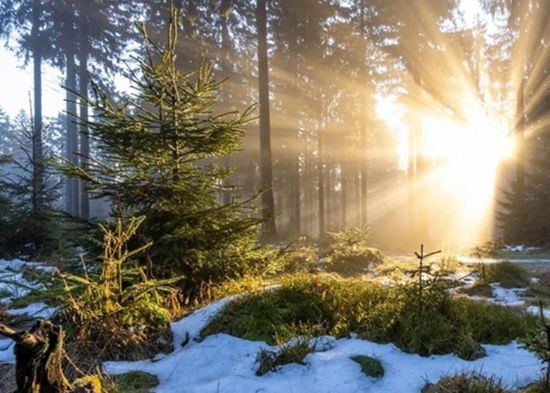 Якою буде зима 2024: несподіваний прогноз синоптиків