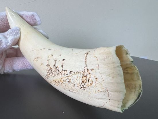 Аматорський сувенір виявився рідкісним зубом: митники запобігли відправленню артефакту до США (фото)