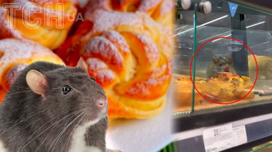 Величезний пацюк їв булочку у супермаркеті Києва: "Рататуй" став зіркою соцмереж – відео