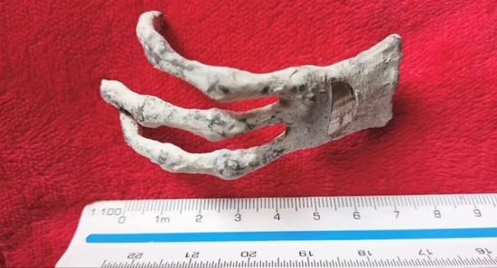 "Мумії іншопланетян" у Перу: експерти зробили приголомшливу знахідку під час розтину їхніх тіл