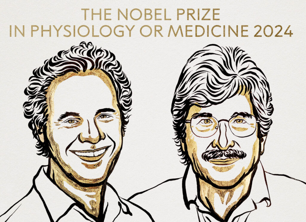 Нобелівську премію з фізіології та медицини присудили за відкриття мікроРНК Нобелівську премію з фізіології та медицини присудили за відкриття мікроРНК