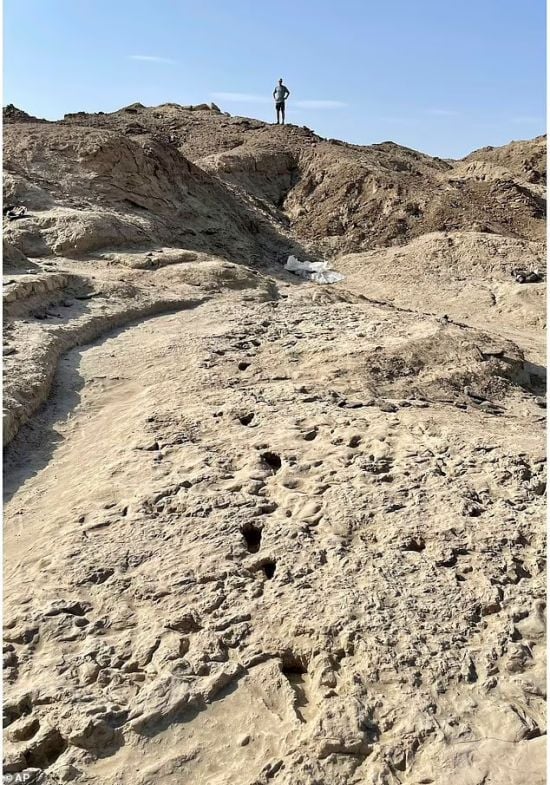 Вчені зробили унікальне відкриття, яке розкриває таємниці еволюції людини